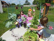 Zahradničíme ve školce